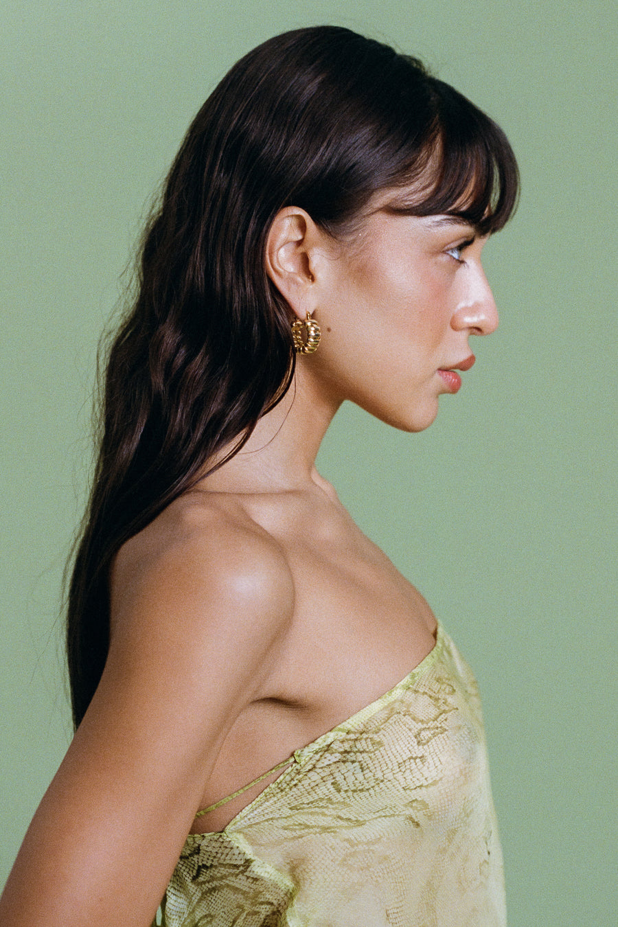 TURTLE HOOPS